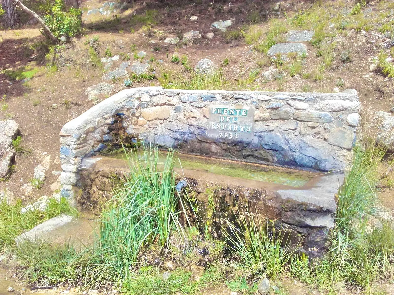 Fuente del Esparto