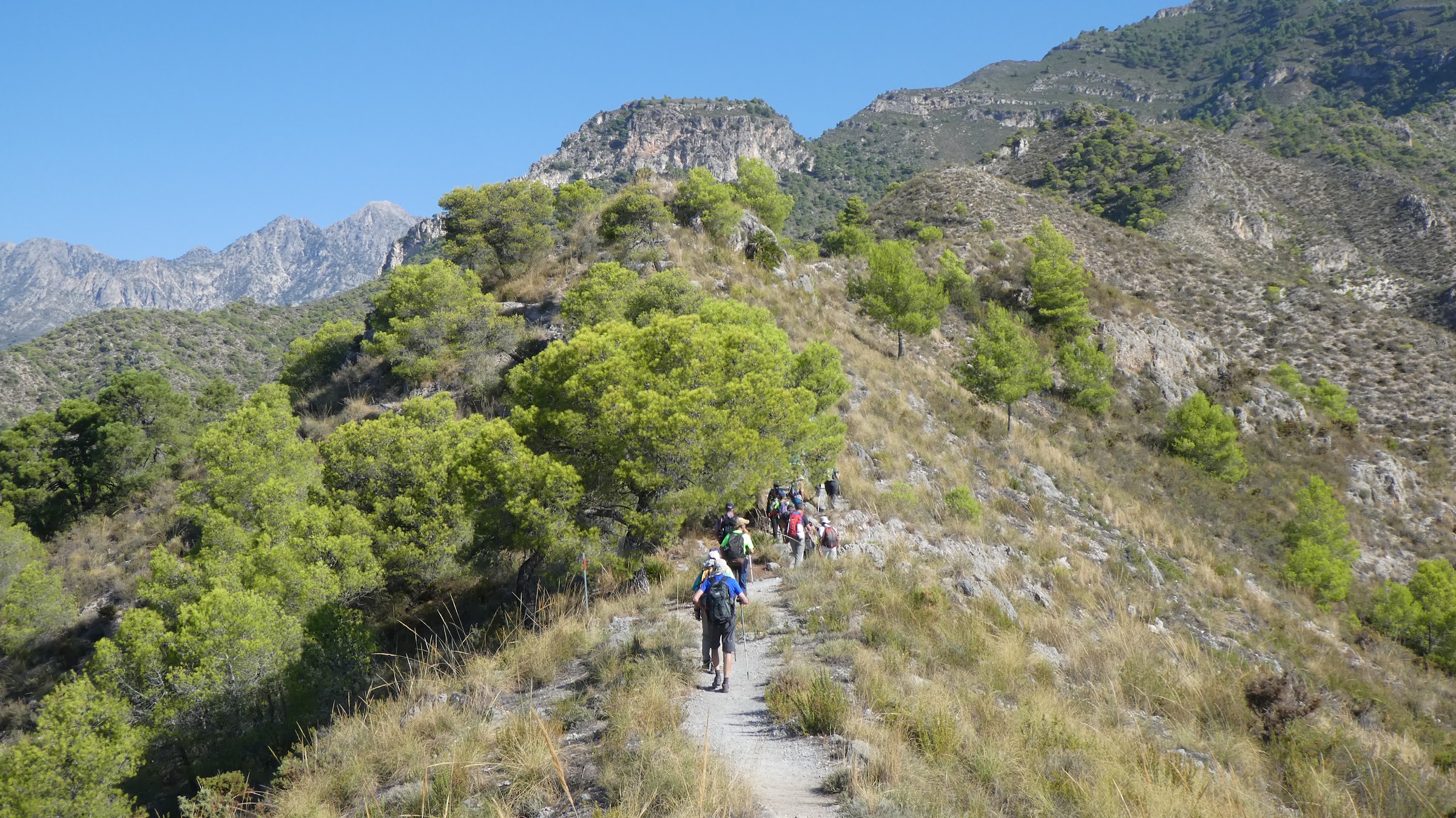 Nerja a Frigiliana (sendero histórico)