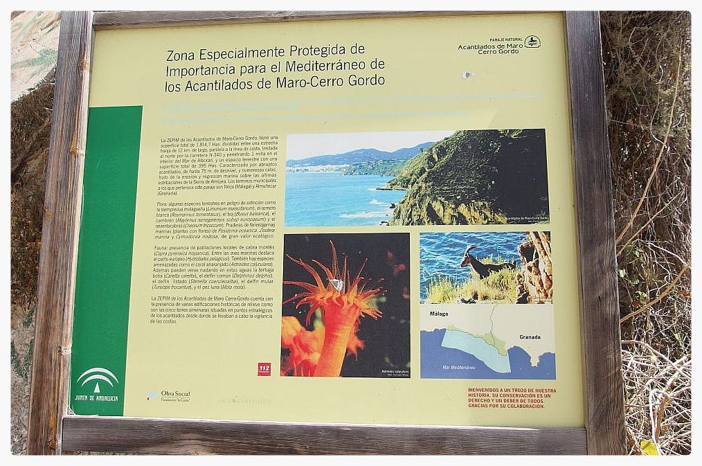 Maro-Cerro Gordo Cliffs — Protected Natural Park en Nerja — interior (4 de 9)