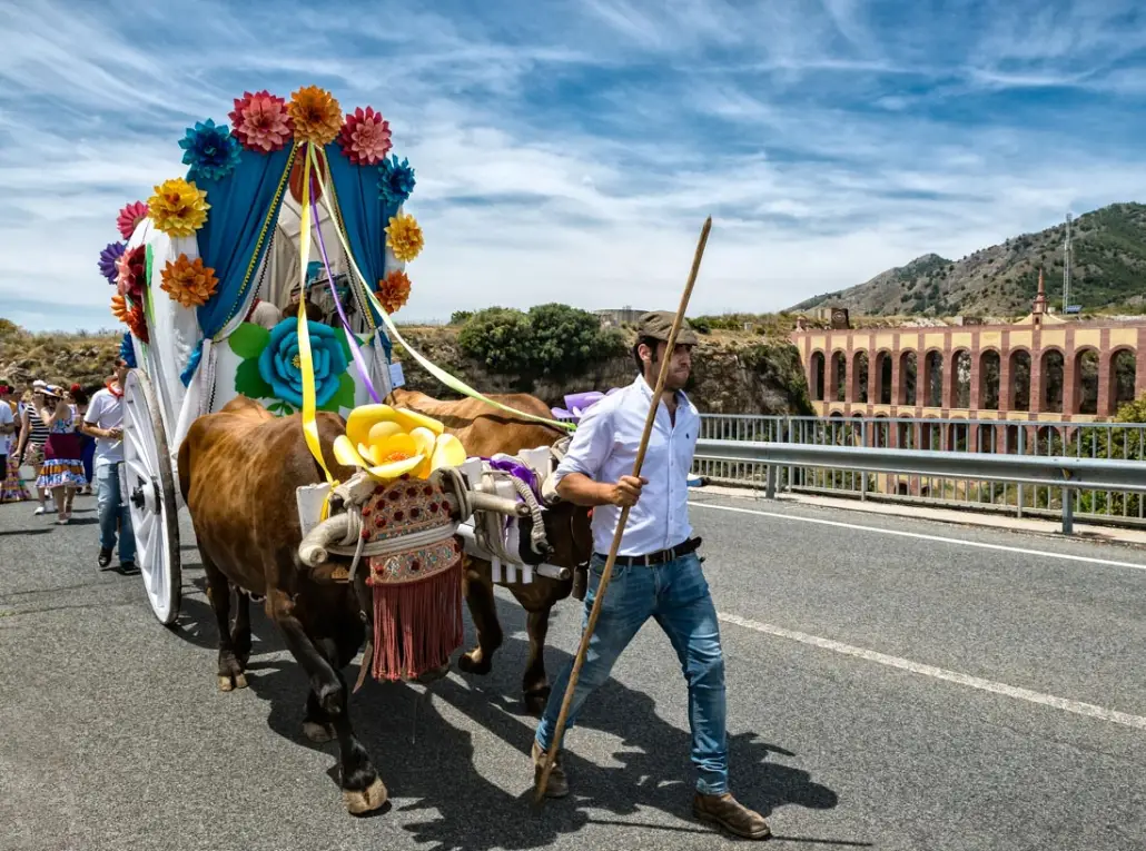 Romería of San Isidro in Nerja en Nerja — detalle (5 de 10)