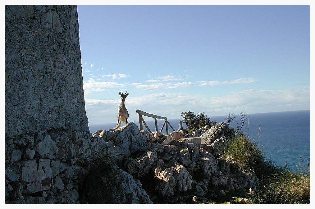 Maro-Cerro Gordo Cliffs — Protected Natural Park en Nerja — vista principal (2 de 9)