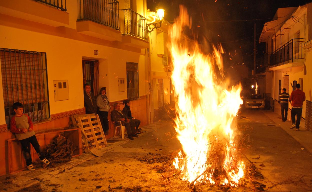 Fiesta de San Antón (Maro)