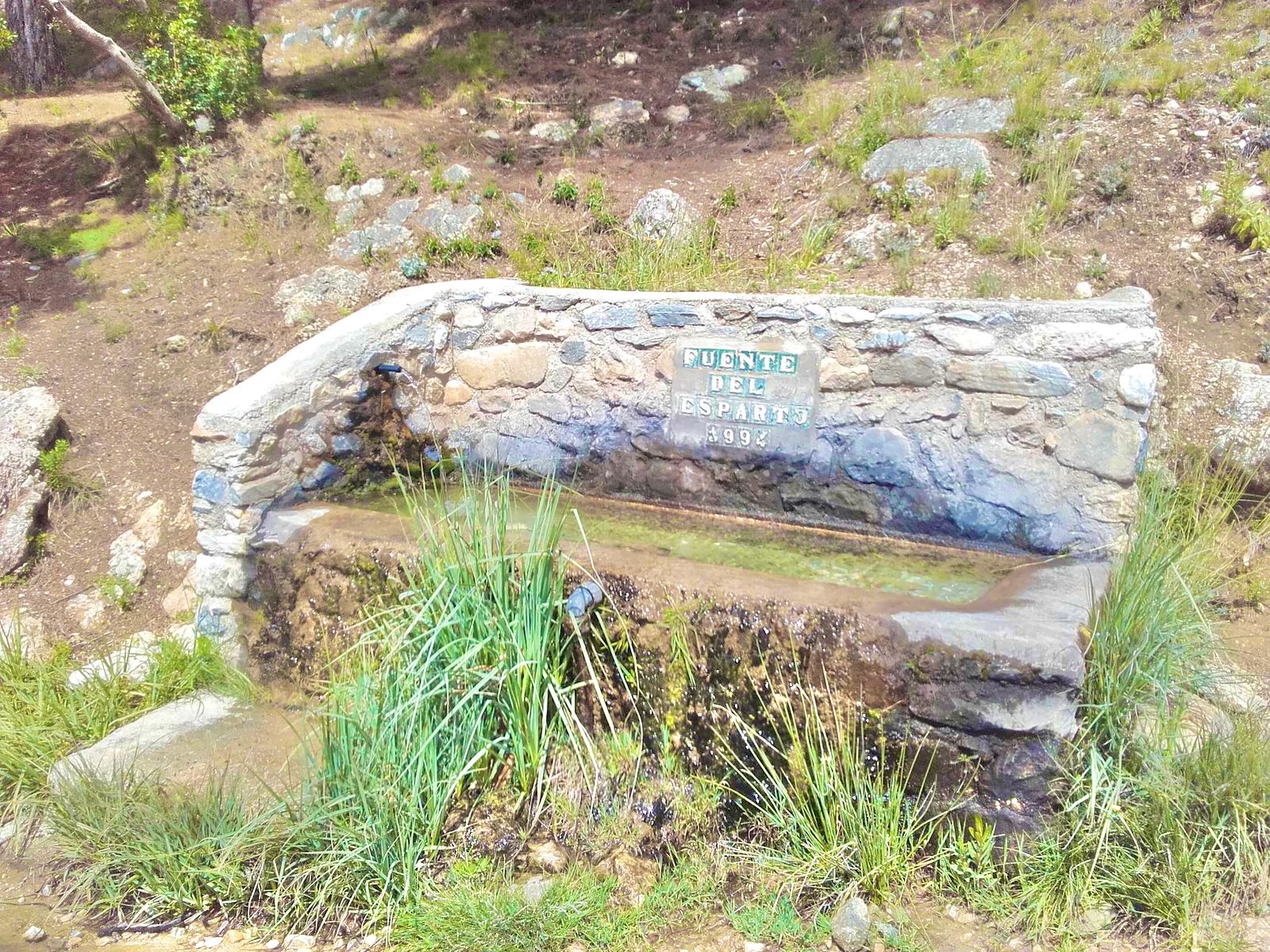 Fuente del Esparto