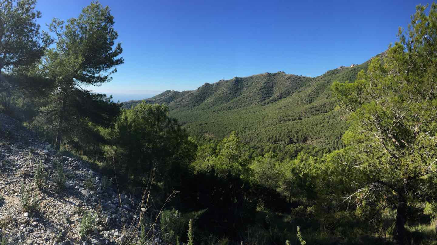 Fuente del Esparto — foto 3