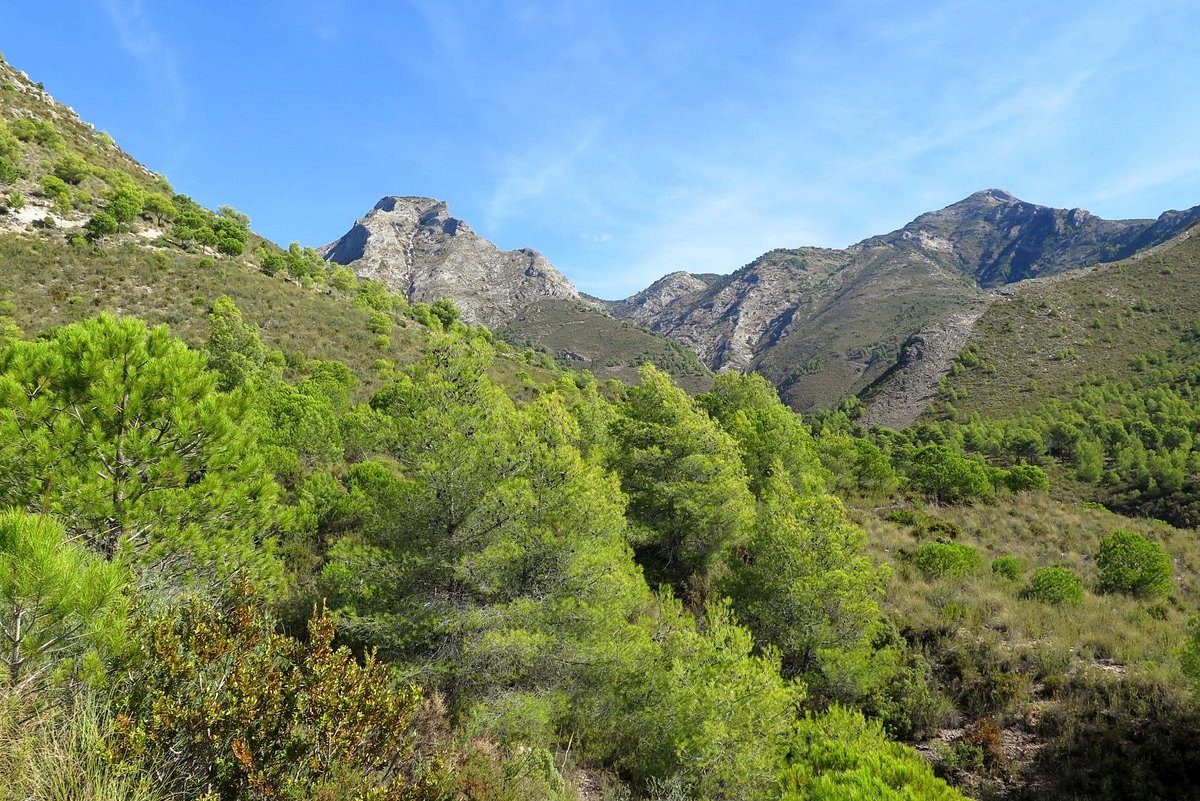 Fuente del Esparto — foto 4