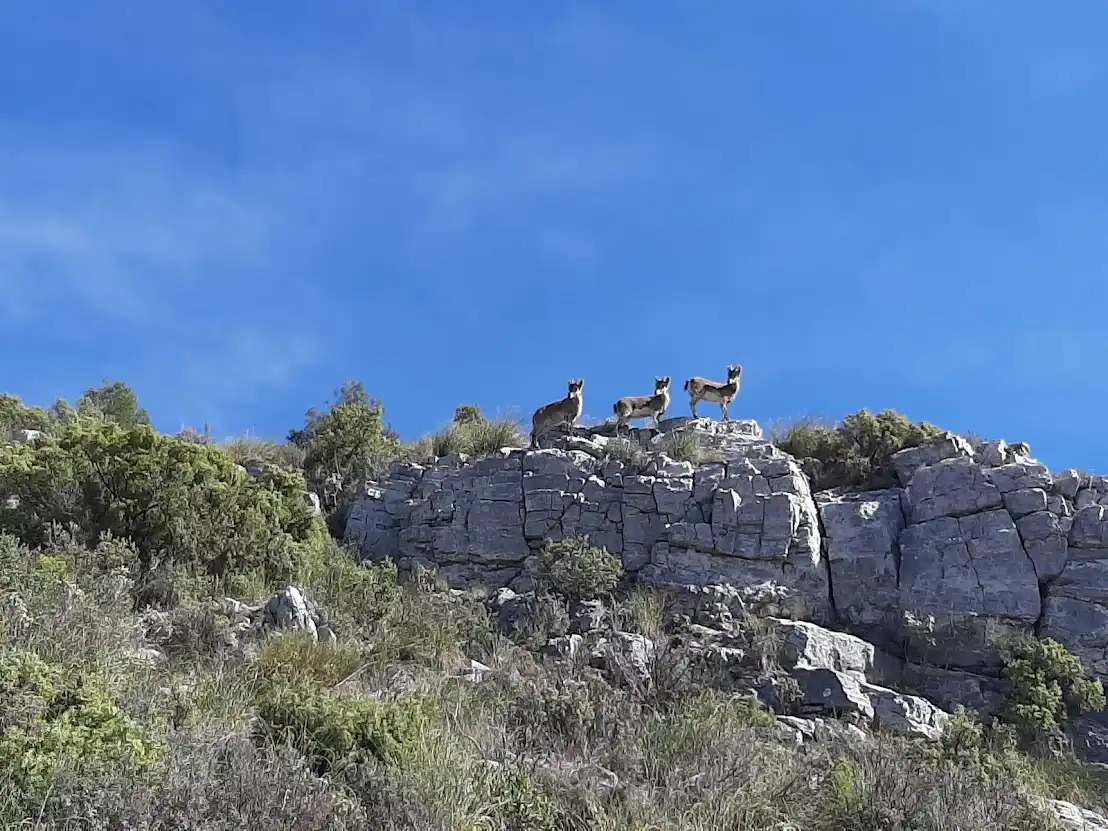 Pico del Cielo — foto 3