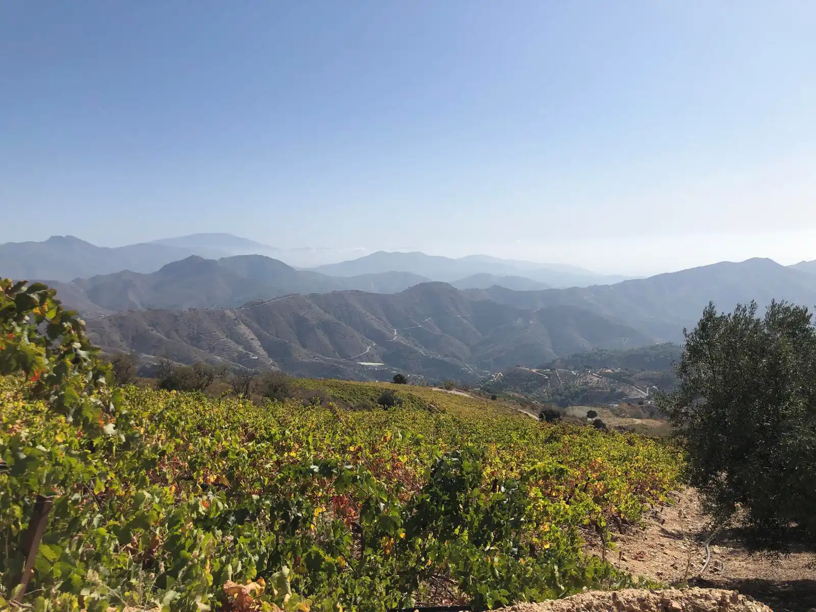 Ruta hacia Peñón de los Castillejos — foto 2