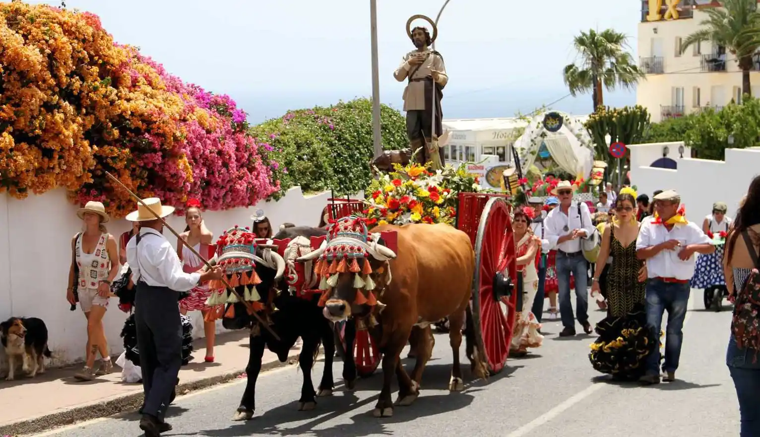 Romería of San Isidro in Nerja en Nerja — interior (4 de 10)