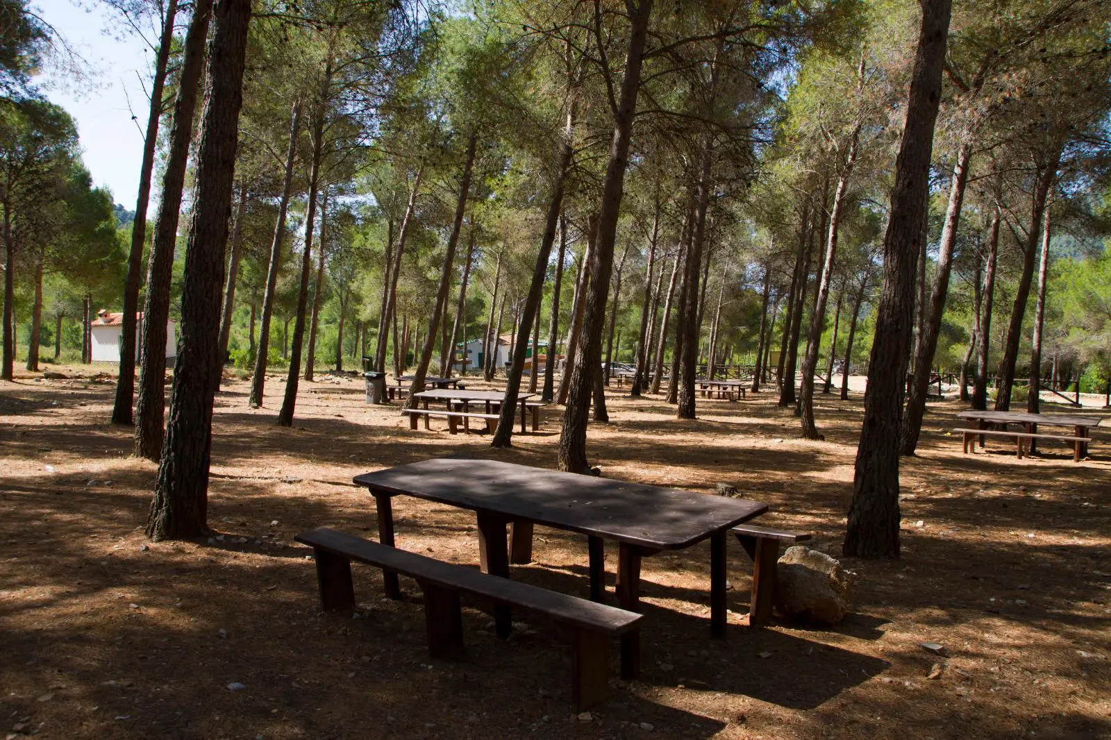 El Pinarillo (Área Recreativa)