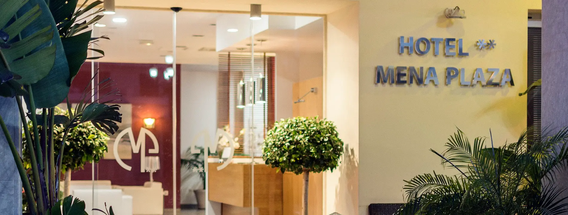 Hotel Mena Plaza