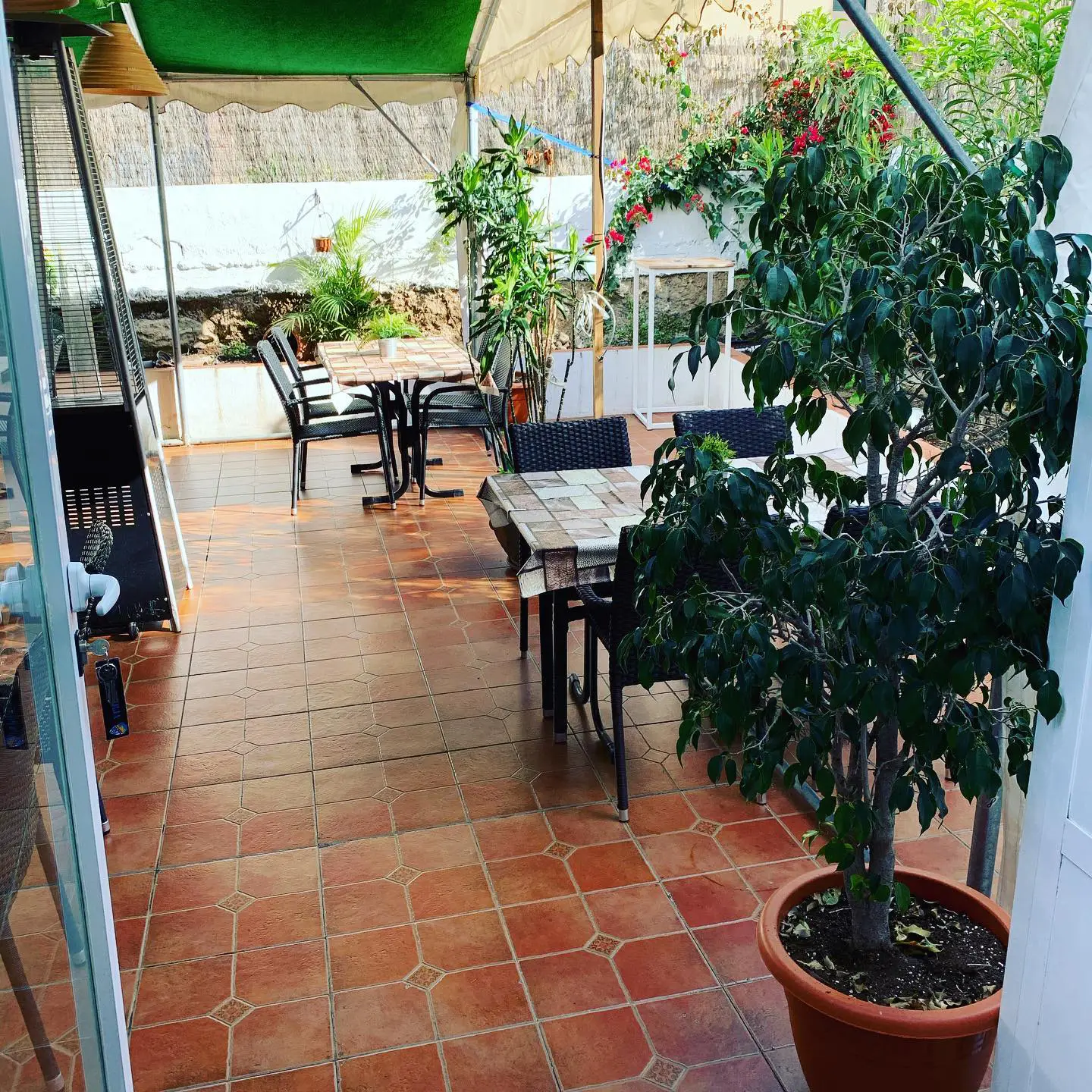 Restaurante Sal y Pimienta — foto 4
