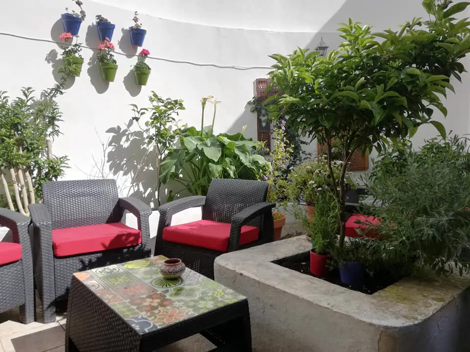 Tetería Zaidín — foto 4