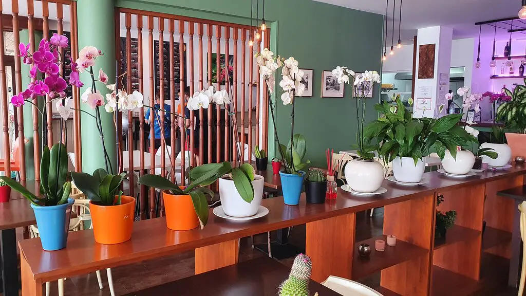 Restaurante Tailandés Yuu Taley — foto 4