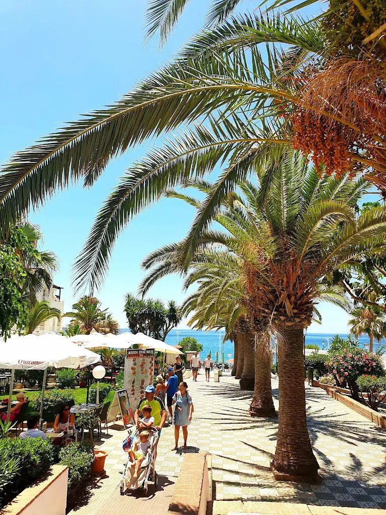Plaza de los Cangrejos — foto 3