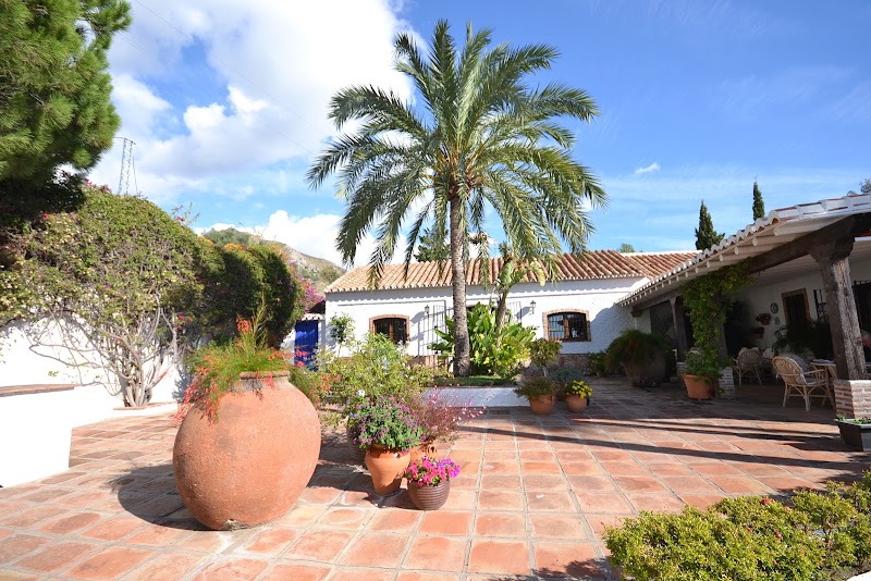 EL MOLINO DE CASANOVA — foto 5