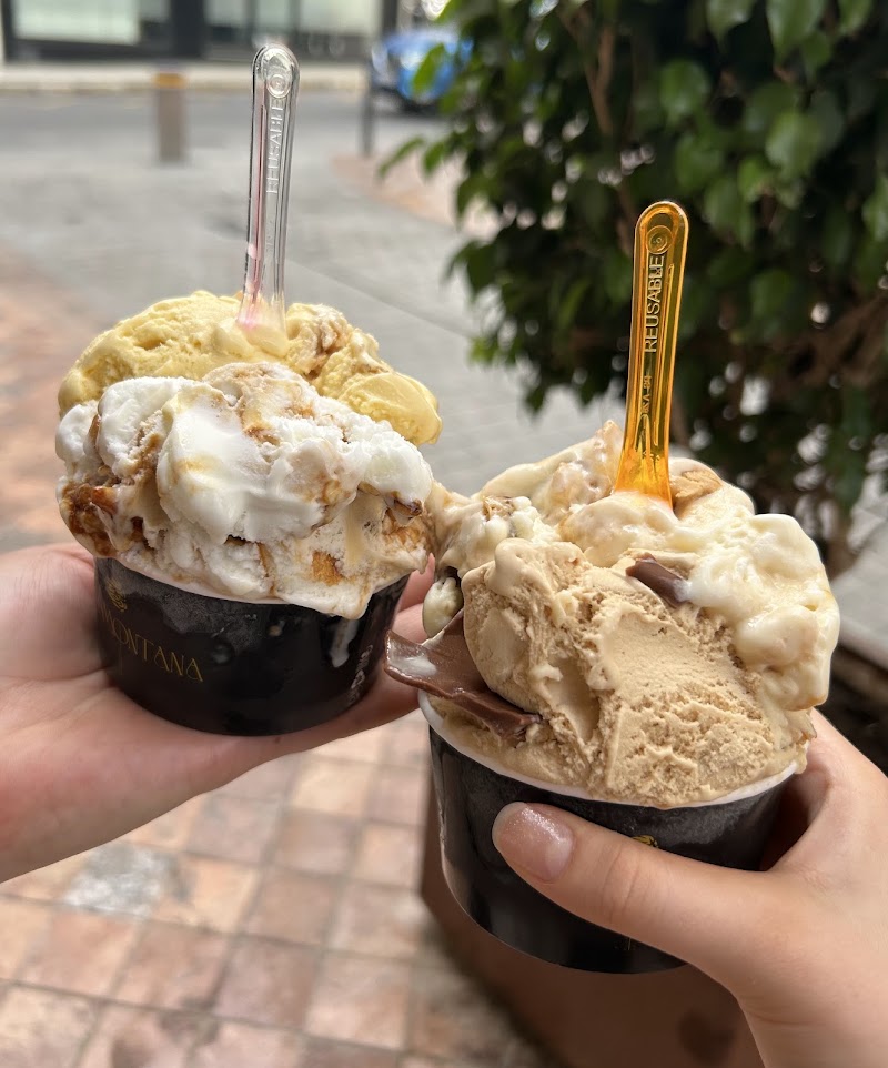 Ice Creams Tramontana — foto 3