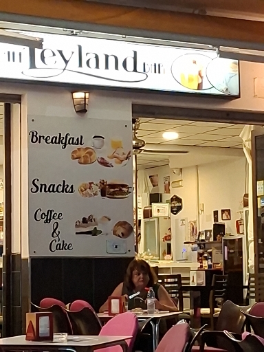 Leyland — foto 5