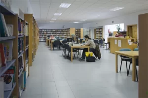 biblioteca publica salvador rueda nerja interior